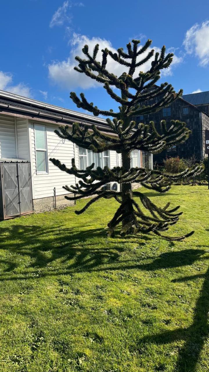 Cabanas Bosque Sur Puerto Varas Ngoại thất bức ảnh
